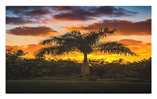 Ambesonne Palm Tree Doormat, Palm Tree Silhouette Scene at The Sunset Twilight Tranquility in Nature Image, Decorative Polyester Floor Mat with Non-Skid Backing, 30" X 18", Orange Green