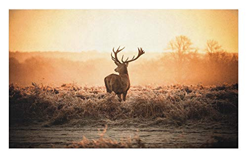 Ambesonne Hunting Doormat, Red Deer in The Morning Sun Wilderness Nature Scenery Countryside Rural Heathers, Decorative Polyester Floor Mat with Non-Skid Backing, 30" X 18", Brown Orange