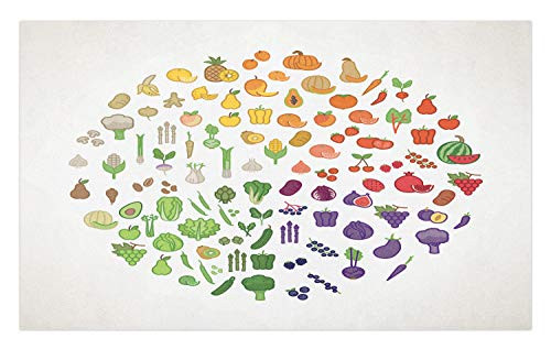 Ambesonne Vegan Doormat, Fruit and Vegetables Color Wheel with Foods Nutrition and Healthy Eating Concept, Decorative Polyester Floor Mat with Non-Skid Backing, 30" X 18", Multicolor
