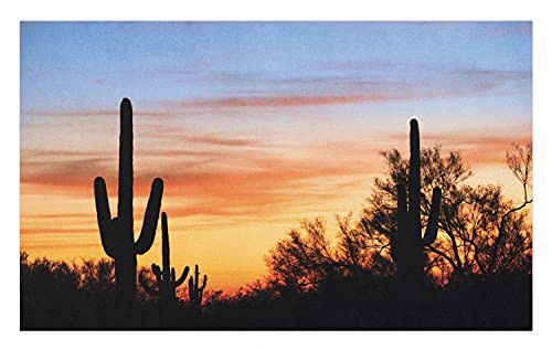 Ambesonne Western Doormat, Sunny Desert Cactus Silhouettes Picture Wild West Nature Sunset Photography, Decorative Polyester Floor Mat with Non-Skid Backing, 30" X 18", Orange and Black