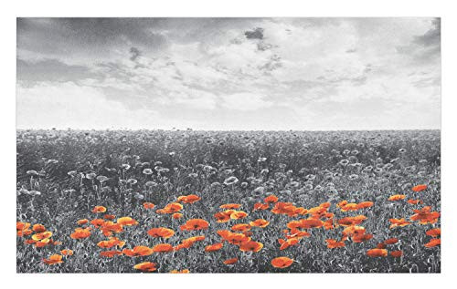 Ambesonne Poppy Flower Doormat, Field Pattern with Greyscale Background Remembrance Day Theme Nostalgic, Decorative Polyester Floor Mat with Non-Skid Backing, 30" X 18", Orange and Grey