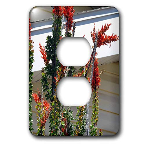 3dRose Jos Fauxtographee- Orange Floral - A desert flower growing up the side of a trailer home - 2 plug outlet cover -lsp-321163-6- 3dRose Jos Fauxtographee- Orange Floral - A desert flower growing up the side of a trailer home - 2 plug outlet cover -lsp-321163-6-