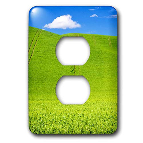 3dRose Wheel Patterns in Spring pea fields - Light Switch Covers -lsp-333009-6-