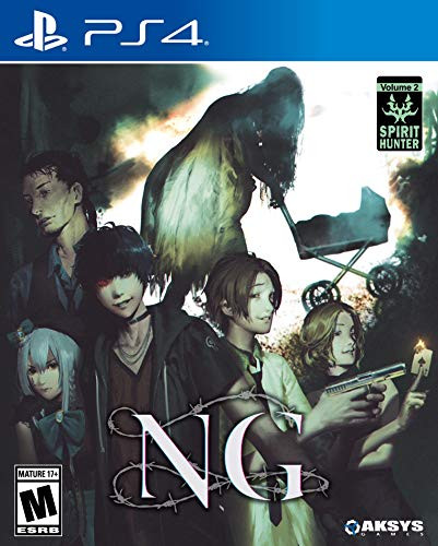 Spirit Hunter- NG - PlayStation 4 Standard Edition