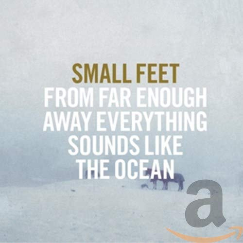 From Far Enough Away Everything Sounds Like The Ocean