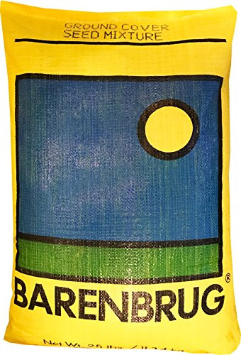 Barenbrug 25460 GroundCover25 Cover Seed Mixture