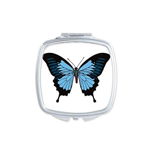 Butterfly Specimen in Dark Blue Mirror Portable Compact Pocket Makeup Double Sided Glass