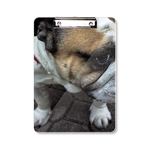 Bulldog Pet Animal Photography Pictures Clipboard Folder Writing Pad Backing Plate A4