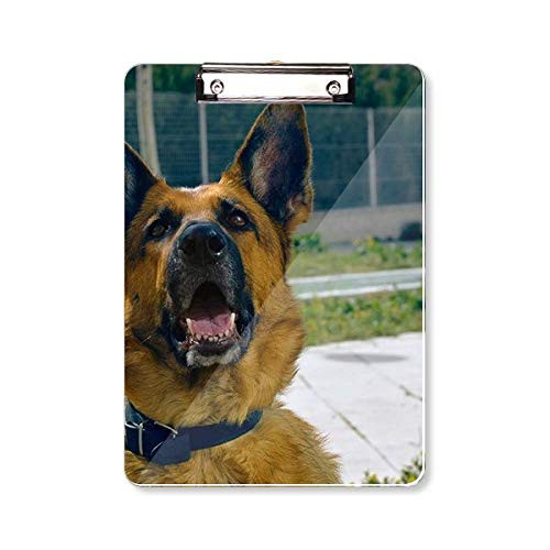 Handsome Dog Pet Photography Picture Clipboard Folder Writing Pad Backing Plate A4