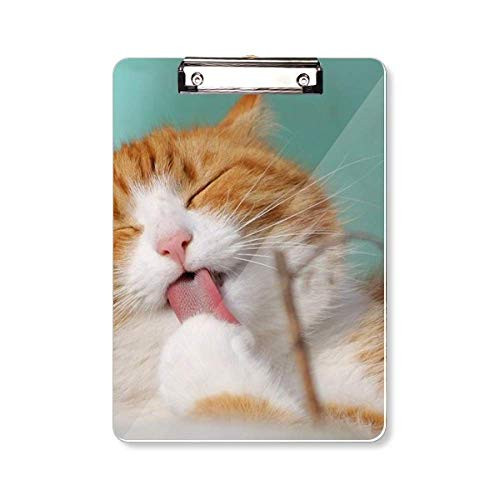 Yellow Stripes Cat Pet Animal Lick Clipboard Folder Writing Pad Backing Plate A4