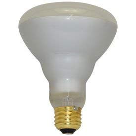 Replacement For Light Bulb / Lamp 75r30/pl Light Bulb By Technical Precision