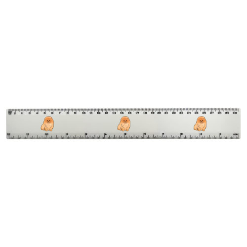 Azeeda 'Pomeranian Puppy' 30cm (12 Inch) White Plastic Ruler (RL00069778)