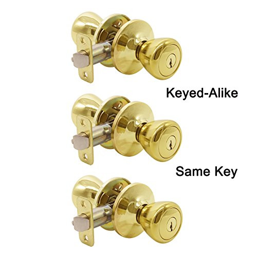 Gobrico Tulip-style Keyed-alike Exterior Door Hardware Entrance Locksets Knob, Polished Brass Same Keys 3Pack