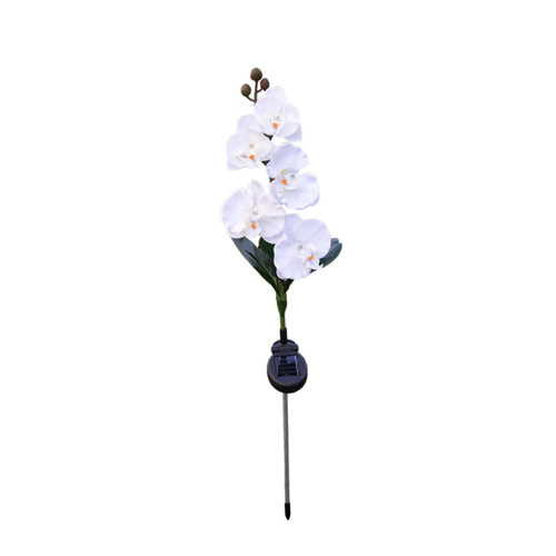 DOITOOL Exterior Solar Powered Lights Solar Powered Lights Outdoor Solar Lights for Outside Solar lamp Outdoor White Landscape lamp Outdoor lamp Solar Garden Lights Phalaenopsis DOITOOL Exterior Solar Powered Lights Solar Powered Lights Outdoor Solar Lights for Outside Solar lamp Outdoor White Landscape lamp Outdoor lamp Solar Garden Lights Phalaenopsis