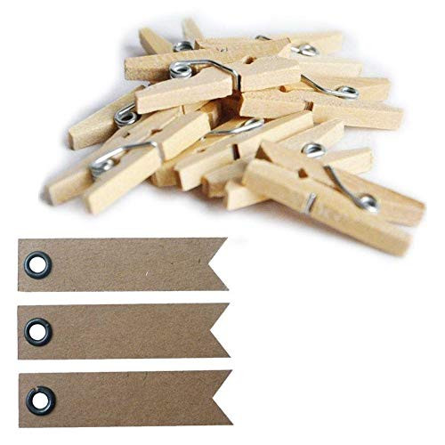 Youdoit Mini Wood clothespins x 20 + 20 Pennant Kraft Labels