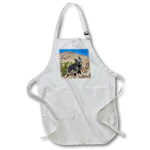 3dRose Australian Cattle Dog US05 ZMU0118 Zandria Muench Beraldo Full Length Apron with Pockets, 22 by 30", White