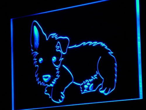 ADV PRO j123-b Scottie Dog New Display Pet Shop Neon Light Sign