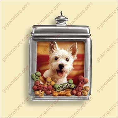 SPECIAL DOG - PHOTO 2006 Hallmark Ornament QXG2966