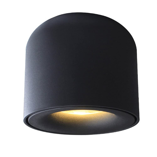 Aisilan LED Ceiling Cob Dimmable Spotlight Surface Mounted Corridor Downlight 7W 3000K Warm White Black Aluminum Spot Light Fixture 3K7WDim