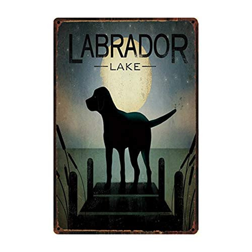 ZMKDLL Dogs Labrador Metal Sign Tin Poster Decor Bar Wall Art Painting Decor for Kit Home Decoration Vintage Nostalgic Mural Dimensions 20X30 cm