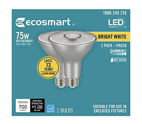 Ecosmart LED EcoSmart 75-Watt Equivalent PAR30 Dimmable Indoor/Outdoor Flood LED Light Bulb Bright White (2-Bulbs)