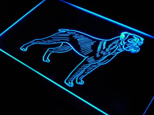 Boxer Dog Pet Shop Gift LED Sign Neon Light Sign Display j507-b(c)