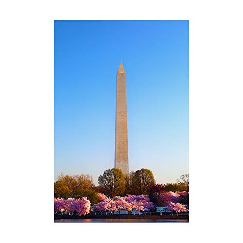 Trademark Fine Art MZ00458-C1624GG Washington Monument Under Light by Mitch Catanzaro, 16x24, Multiple
