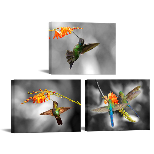 VANSEEING 3 Pieces Canvas Wall Art Hummingbird with Flowers Painting Black and White Birds Picture Prints Modern Artwork for Home Bedroom Bathroom Wall Decor Framed Stretched 12x16inchx3pcs VANSEEING 3 Pieces Canvas Wall Art Hummingbird with Flowers Painting Black and White Birds Picture Prints Modern Artwork for Home Bedroom Bathroom Wall Decor Framed Stretched 12x16inchx3pcs