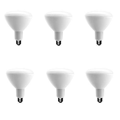 EcoSmart 75-Watt Equivalent BR40 Dimmable Energy Star LED Light Bulb Soft White (6-Pack)