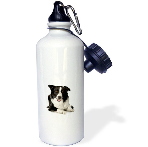 3dRose "Border Collie" Sports Water Bottle, 21 oz, White