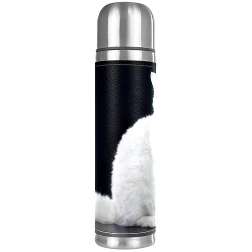 Insulated Water Bottle Stainless Steel Water Bottles Metal Water Bottle, Animal White Cat