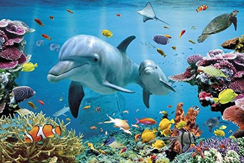 Buyartforless POSTER Tropical Reef and Dolphins 36x24 Ocean Tropical Coastal Art Print Poster, Multi-Color