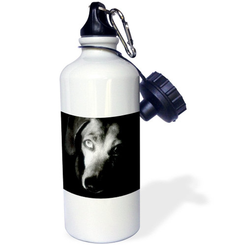 3dRose Black Dachshund Portrait Sports Water Bottle, 21 oz, White