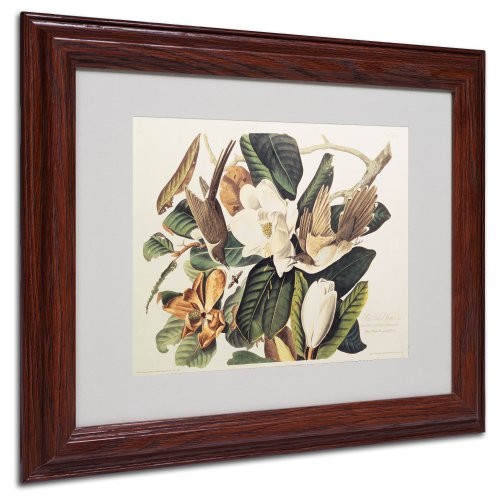 Black-Billed Cuckoo Matted Artwork by John James Audubon with Wood Frame, 11 by 14-Inch