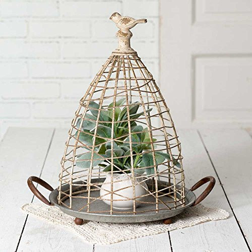 CTW Distressed Decorative Bird's Nest Cloche with Base