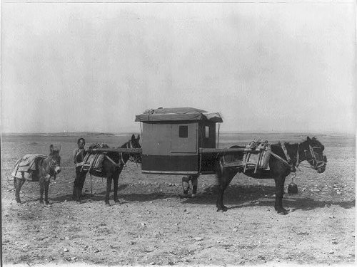 HistoricalFindings Photo: Transportation,c1910,Sedan Chair Carried by 2 Mules,China,Man,Donkey?