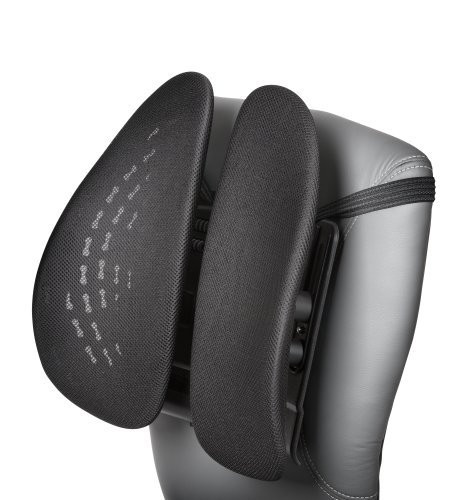 Kensington Smartfit Conform Back Rest (K60412WW)