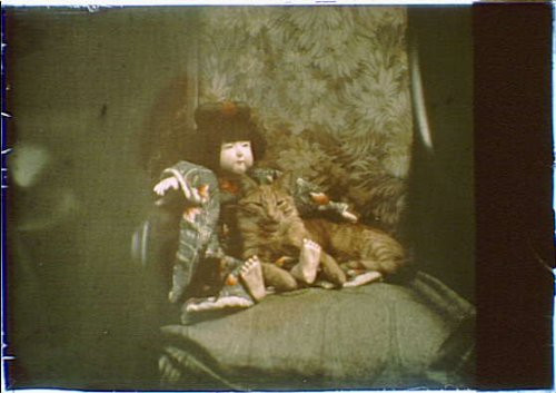 HistoricalFindings Photo: Buzzer,cat Lying,Chair,Doll,Animals,Pets,autochromes,Color,Arnold Genthe,1911