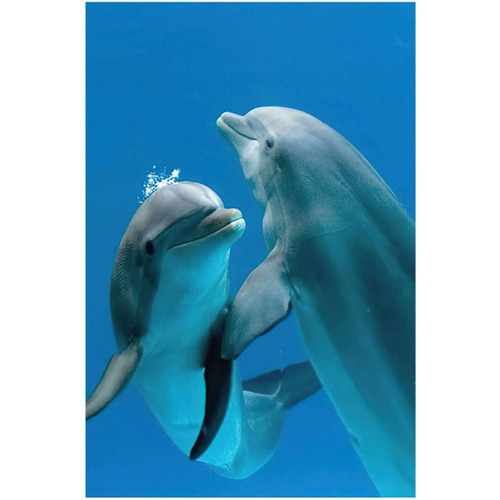 Canvas Wall Art Dolphins Pair Dancing Underwater Unframe Oil Paintings On Canvas Wall Art Abstract Art Canvas Paintings Picture Wall Art Modern Wall Decor for Bedroom Living Room Home Wall 12x18inch Canvas Wall Art Dolphins Pair Dancing Underwater Unframe Oil Paintings On Canvas Wall Art Abstract Art Canvas Paintings Picture Wall Art Modern Wall Decor for Bedroom Living Room Home Wall 12x18inch