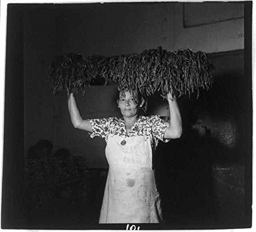 HistoricalFindings Photo: Woman Carrying Tobacco on her Head in a Plant,Puerto Rico,Employment,1944-1946