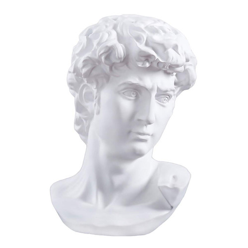 Cozylkx 11.4 Inch Premium Resin Greek Michelangelo David Bust Statue Replica Sculpture Home Art Decor, White