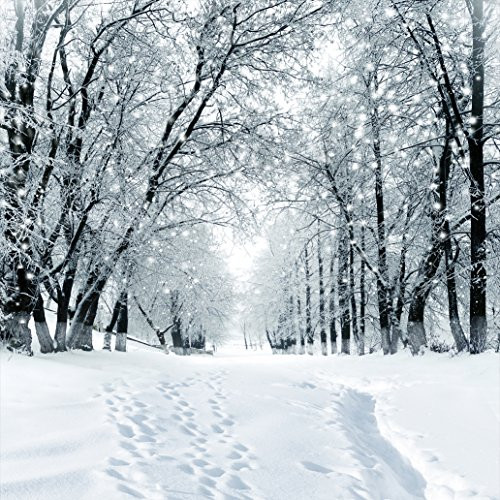 SJOLOON 10X10ft Winter Snow Photography Backdrop Customized Vinyl Photo Background Studio JLT-9207