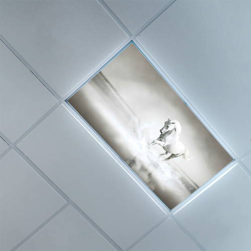 Fluorescent Light Covers for Classroom Office-Horses Pattern-Light Filters Ceiling LED Ceiling Light Covers-Office & Classroom Decorations,White Black