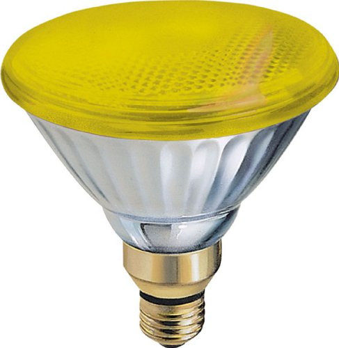 GE 20945 85-Watt PAR38 Outdoor Incandescent Bug Light, 6-Pack