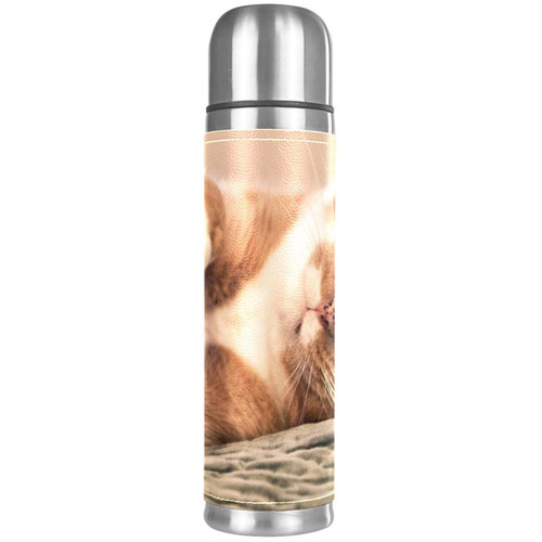 Insulated Water Bottle Stainless Steel Water Bottles Metal Water Bottle, Animals Sleeping Cat