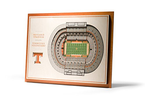 NCAA Tennessee Volunteers 5-Layer Stadiumviews 3D Wall Art