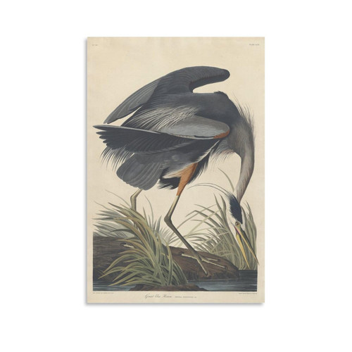 AAHARYA Animal Poster Blue Heron Wall Art Deco Canvas Print Poster Canvas Painting Posters And Prints Wall Art Pictures for Living Room Bedroom Decor 16x24inch(40x60cm) Unframe-style AAHARYA Animal Poster Blue Heron Wall Art Deco Canvas Print Poster Canvas Painting Posters And Prints Wall Art Pictures for Living Room Bedroom Decor 16x24inch(40x60cm) Unframe-style