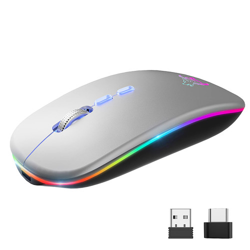 HOTLIFE LED Wireless Mouse, Slim Rechargeable Silent Bluetooth Mouse, Portable USB Optical 2.4G Wireless Bluetooth Two Mode Computer Mice with USB Receiver and Type C Adapter(Silver)