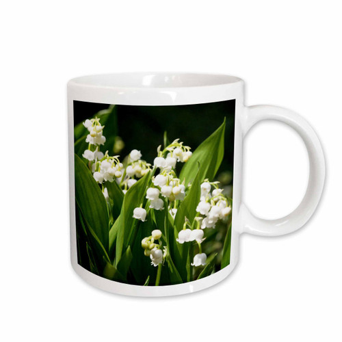 3dRose RinaPiro - Flowers - Lily of the valley. White. Spring flowers - Mugs (mug_215161_2)