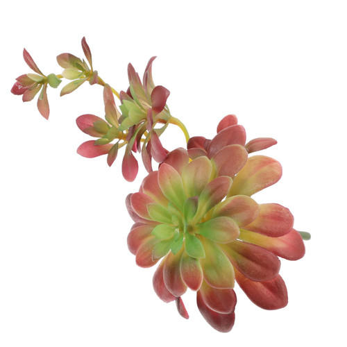 FAVOMOTO Artificial Plants Artificial Succulents Picks Mini Artificial Succulents Picks Unpotted Faux Succulent Echeveria Agave Floral Arrangement Fake Succulents Plant Home Decor FAVOMOTO Artificial Plants Artificial Succulents Picks Mini Artificial Succulents Picks Unpotted Faux Succulent Echeveria Agave Floral Arrangement Fake Succulents Plant Home Decor